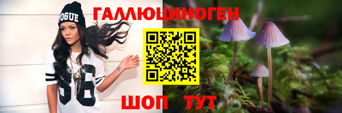 Галлюциногенные грибы прущие грибы  Вход с VPN  Сунжа 
