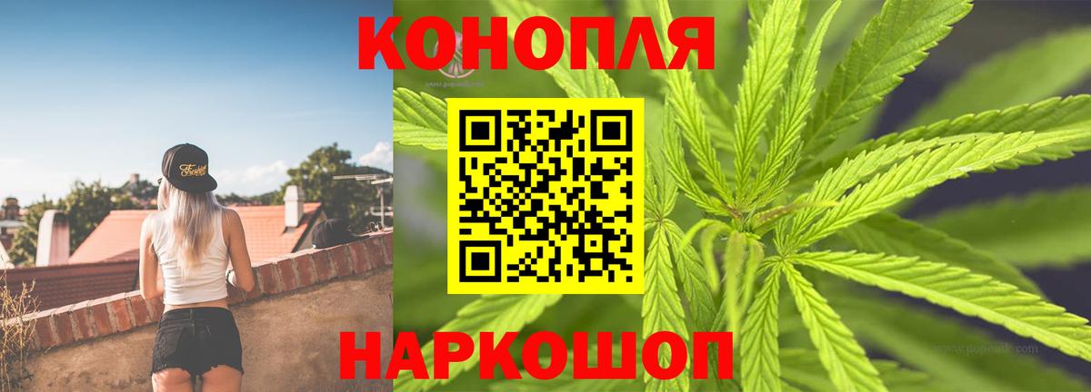 Бошки марихуана ГИДРОПОН Сунжа